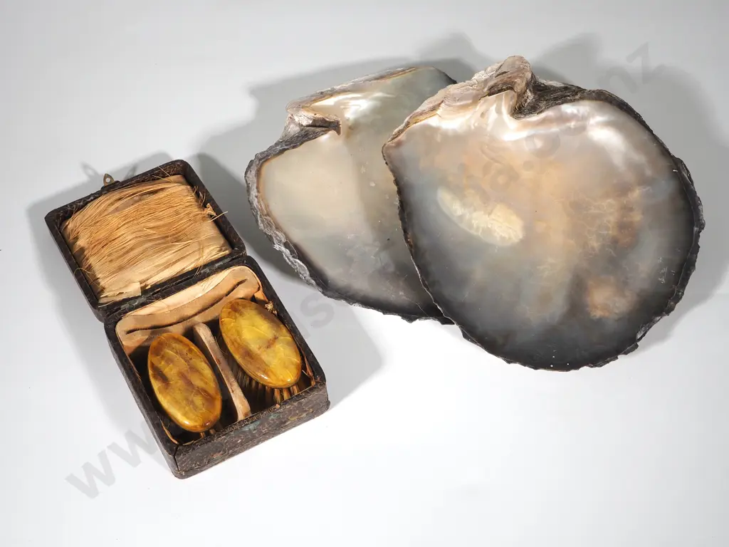 Vintage Faux  Snakeskin Box w Two Brushes & Two Very Large Silver-Lipped Mother of Pearl Shell Image 1++