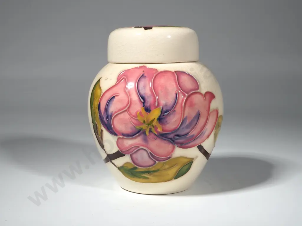 Moorcroft Ginger Jar Pink Magnolia on a White Ground. Hgt 110mm Image 1++