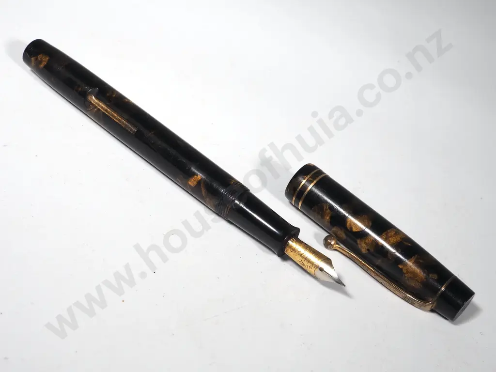 One Unboxed Platinum Fountain Pen Image 1++