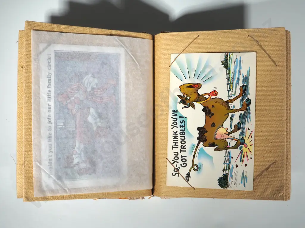 Album Containing Vintage Postcards, Mostly Humorous Image 1++