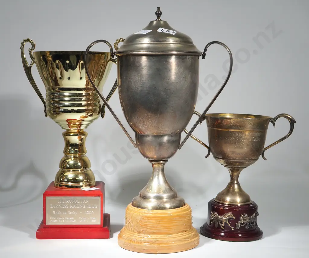 G/P Metropolitan Harness Racing Club 2000 & G/P Fairfield Harness Racing Club 2000. Image 1++