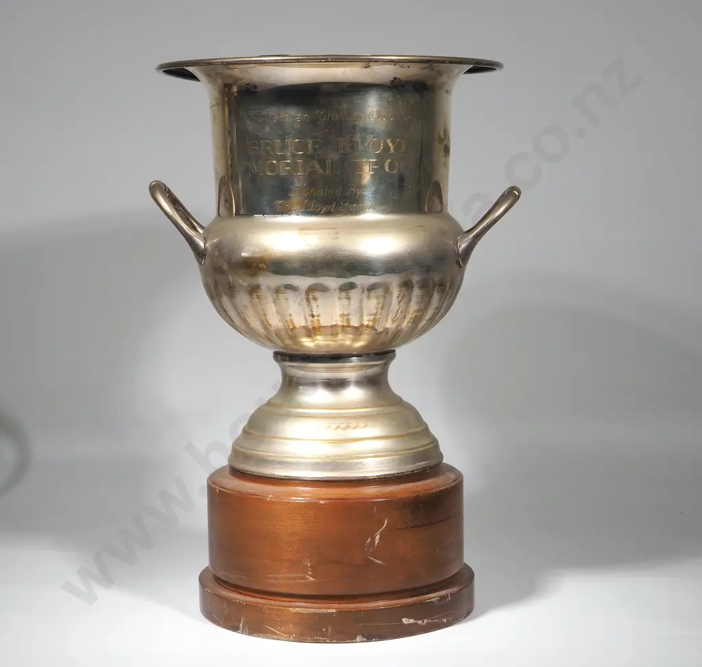 S/P Methven Trotting Club Bruce Lloyd Memorial Trophy Image 1++