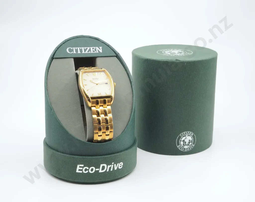 Cased Citizen Ecodrive Watch Image 1++
