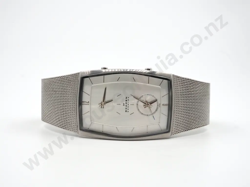 Skagen Double Time Wrist Watch  Image 1++