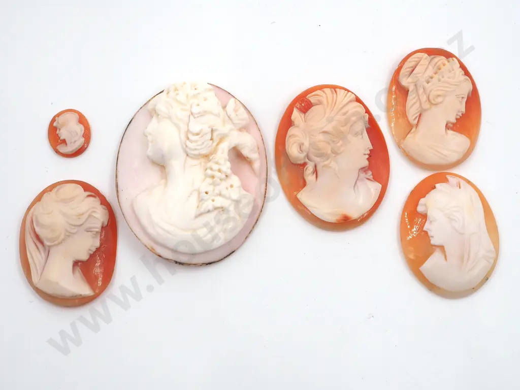 Assorted Lot of Cameos  Image 1++