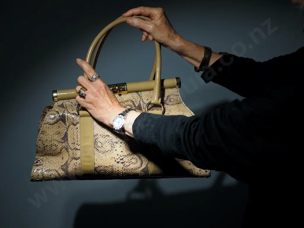 Antonio Barbato Snake Skin Carpet Bag Style Image 1++