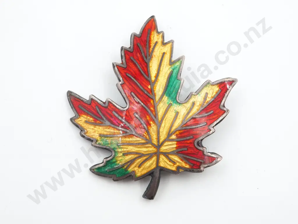 Sterling Silver & Enamel Brooch Image 1++