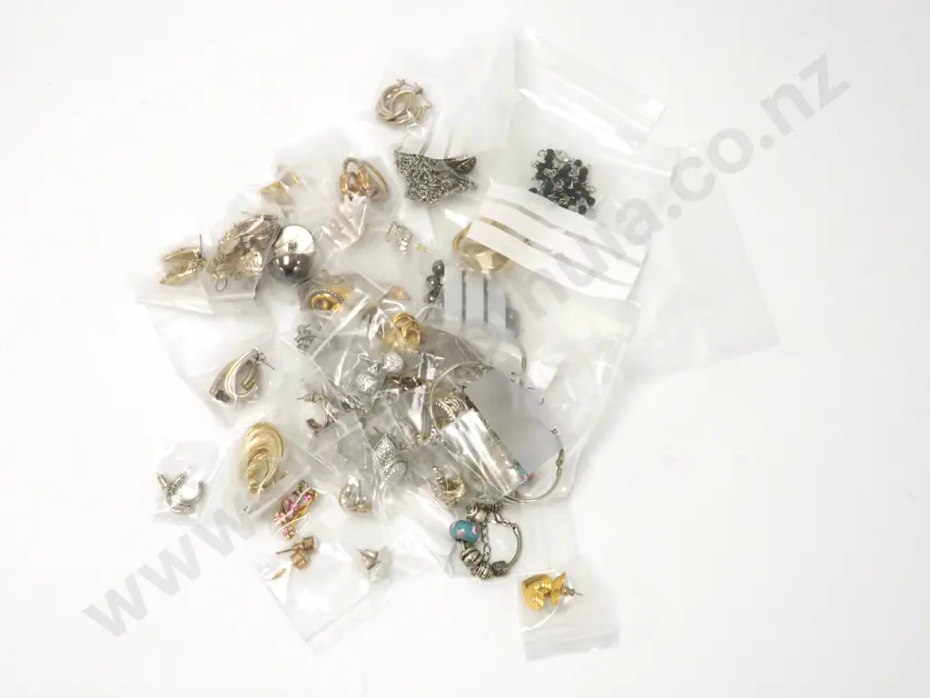 Bag Lot of Costume Jewellery Containing Mostly Earrings Image 1++