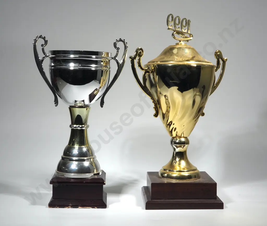 Two Schweppes Trophies: One Gold-1991; One Silver-2001 Image 1++
