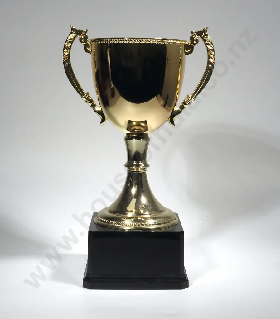 Gold Albion Park Gold Brisbane Yearling Sales 2018 Trophy Image 1++