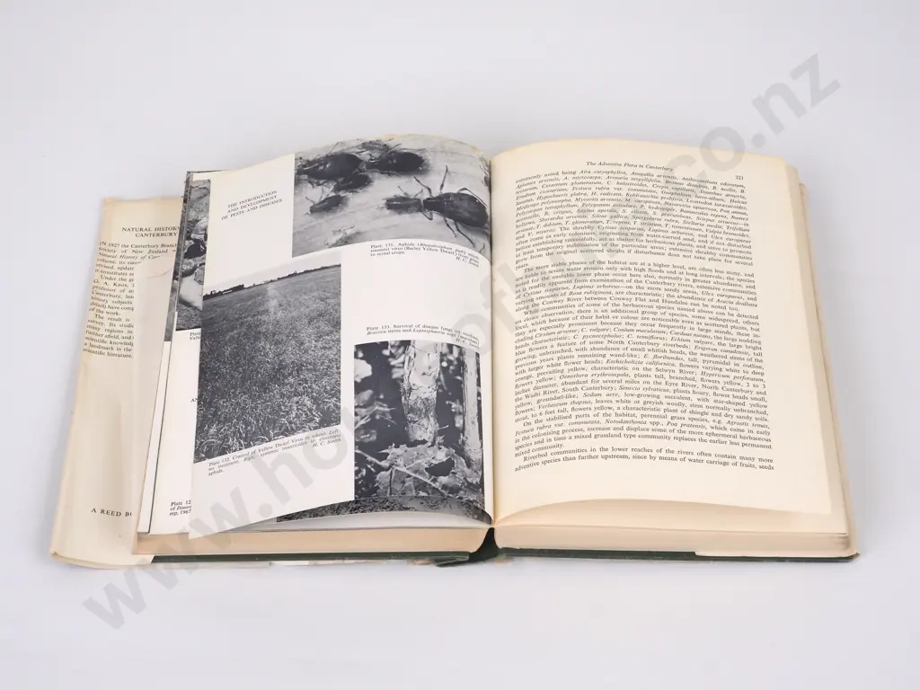 Knox, G.A.; The Natural History Of Canterbury Image 1++