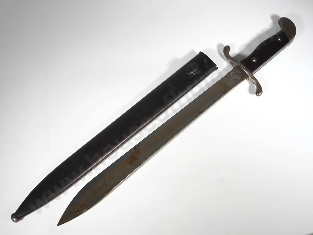 Argentinian Model 1909 Bayonet  Image 1++