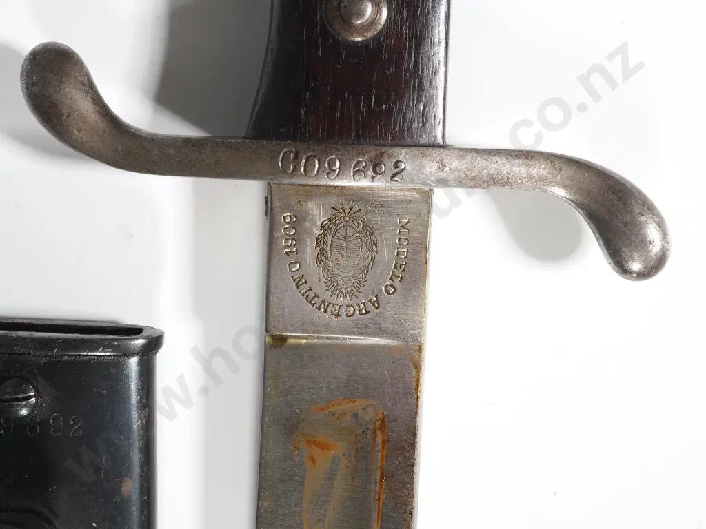 Argentinian Model 1909 Bayonet  Image 1++