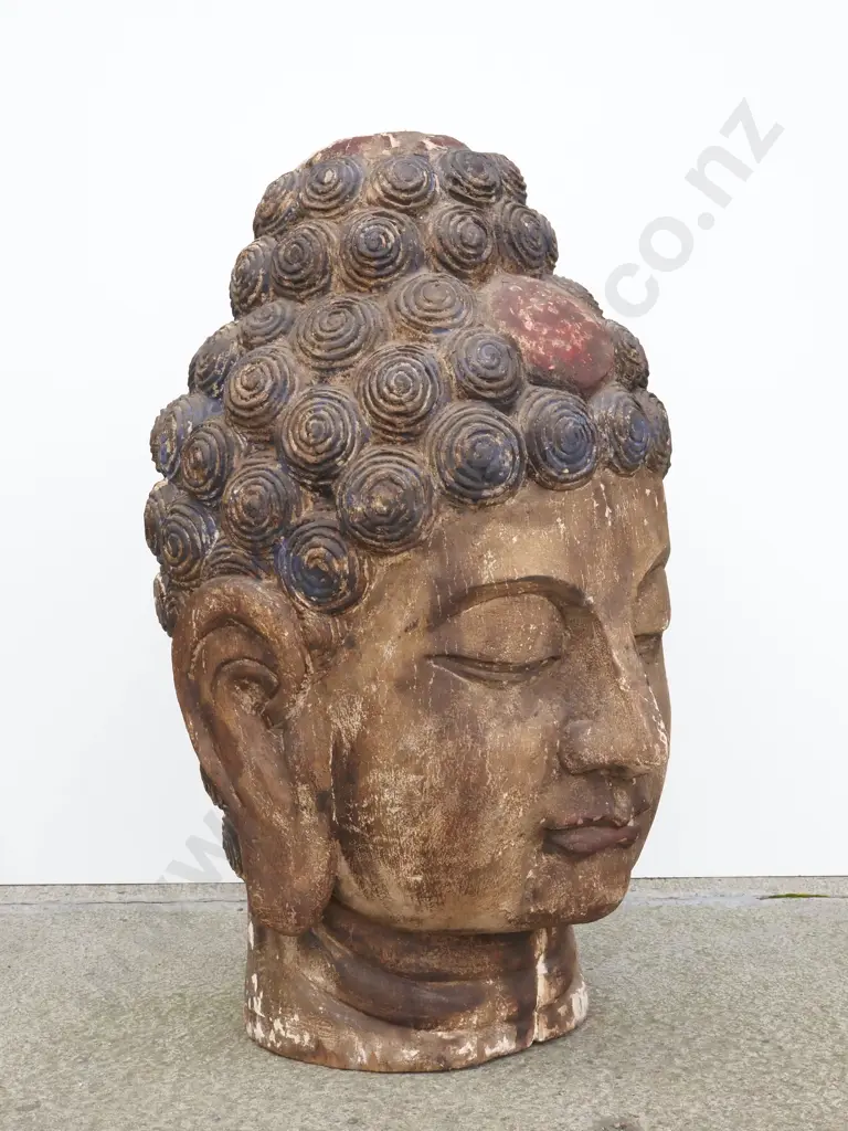 Very Large Vintage Wooden & Plaster Buddha Head With Snail Hair Image 1++
