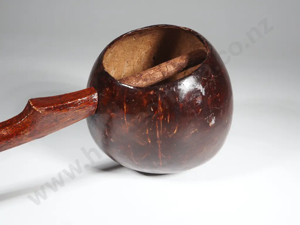 One Coconut Water Dipper Image 1++