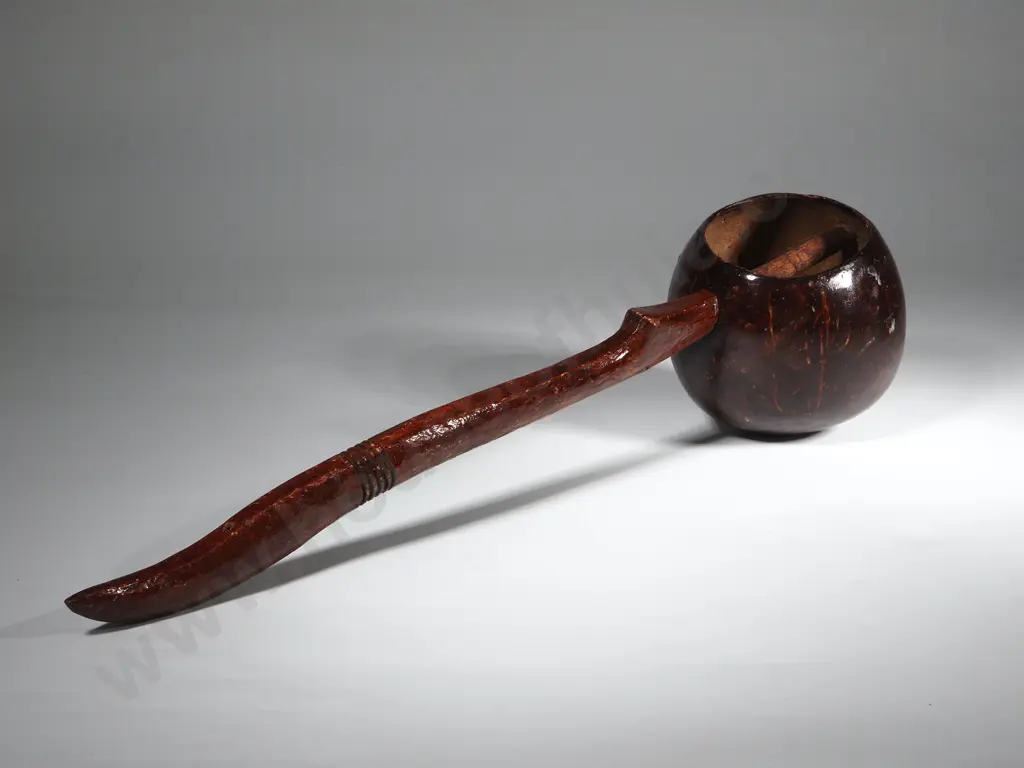 One Coconut Water Dipper Image 1++