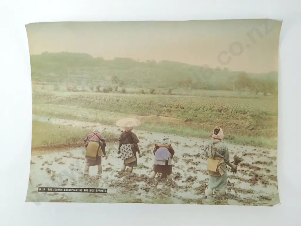 Collection Of 19th Century Hand Coloured Photographs From The Studio Of T Fukasawa, Kobe, Japan.  Image 1++