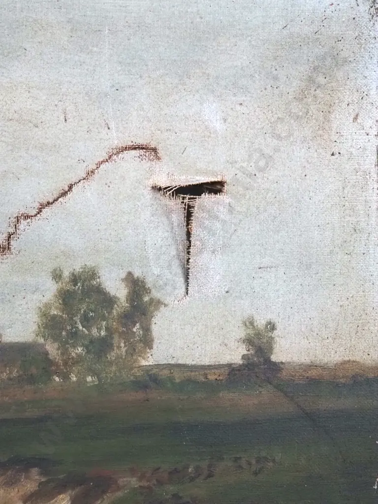 Possibly Anna Steve. Rural Landscape Oil on Canvas. A/F Image 1++