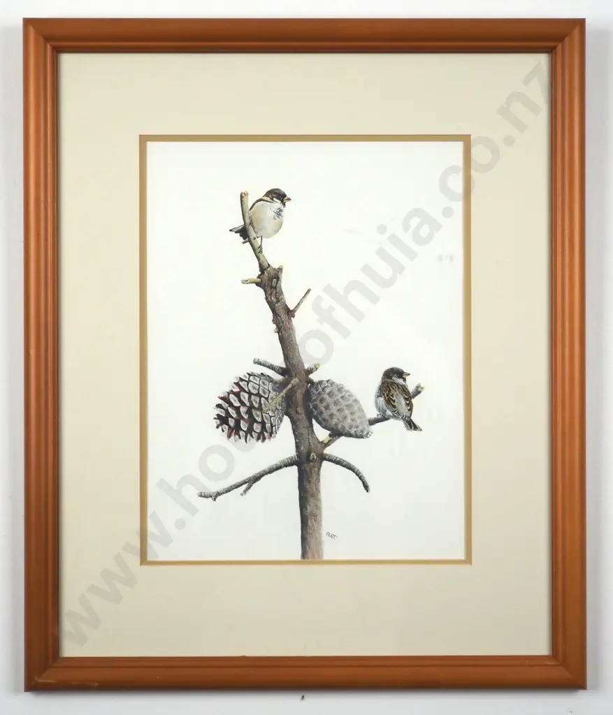 Trevor Platt. 1994. Sparrows in My Garden Series II, No. 33. Watercolour. Image 1++
