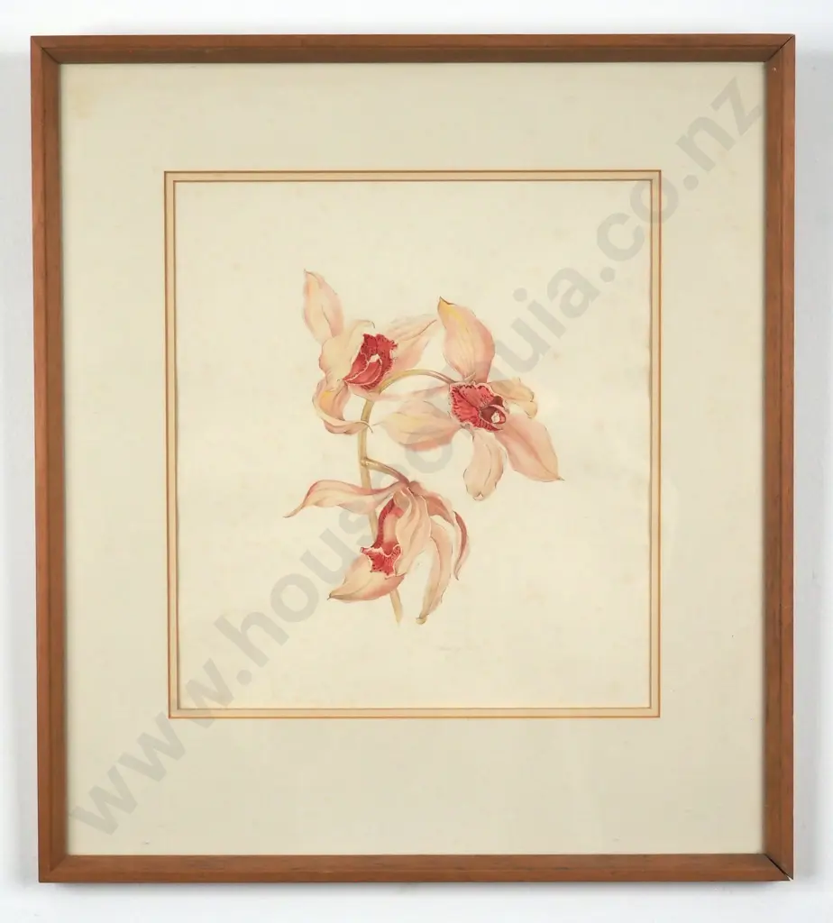 N. Hartley Tutiss. Orchid Study. Watercolour & Pencil. Image 1++