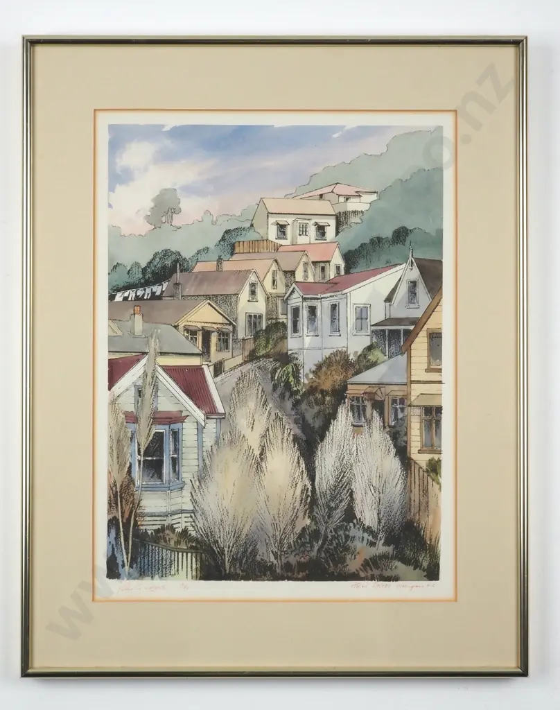 Peter G. Leitch. Ascot Street, Wellington, N.Z. Numbered Print 9/35. Image 1++