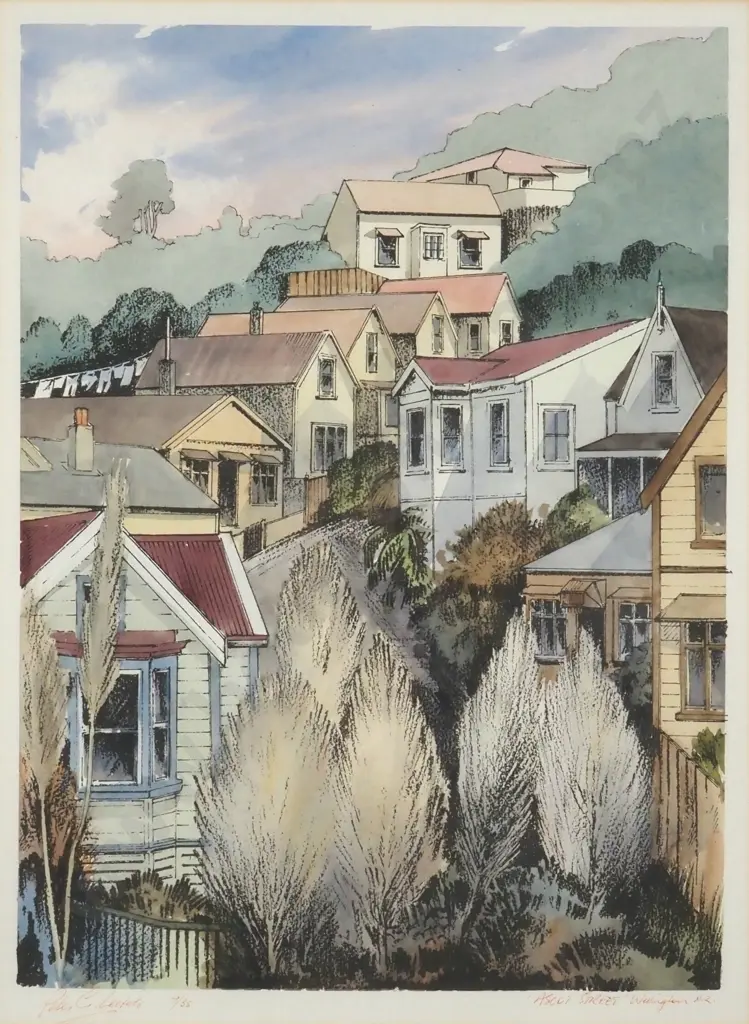 Peter G. Leitch. Ascot Street, Wellington, N.Z. Numbered Print 9/35. Image 1++