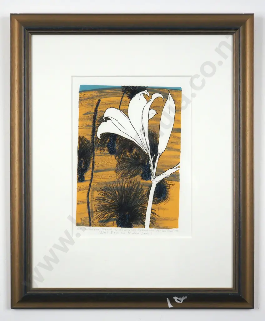 Michael Reed. 1995. Xantherrea  Preissi & Amaryllis Bella Donna. Limited Edition Print 6/10. Image 1++