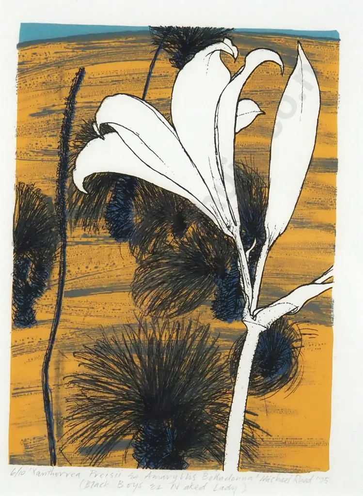 Michael Reed. 1995. Xantherrea  Preissi & Amaryllis Bella Donna. Limited Edition Print 6/10. Image 1++