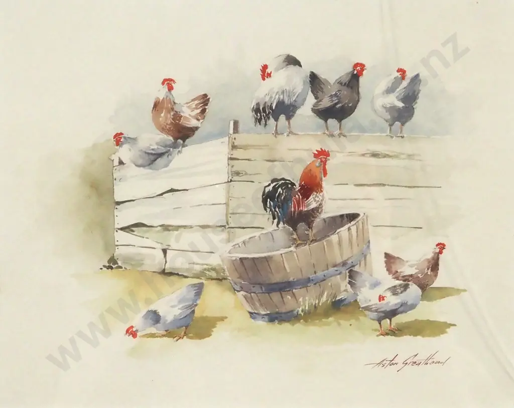 Aston Greathead. Waiting to be Fed. Watercolour. Image 1++