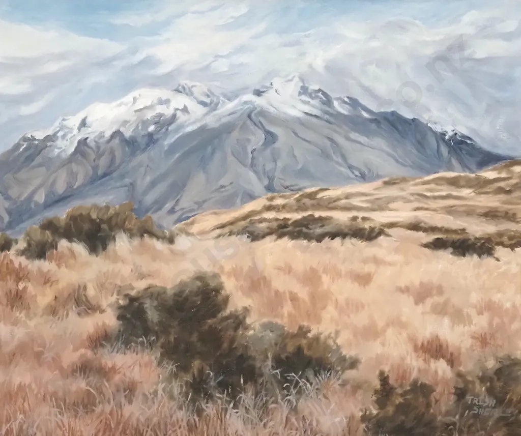 Trish Shirley. Tussock Country (Cecil Peak). Oil on Board. Image 1++