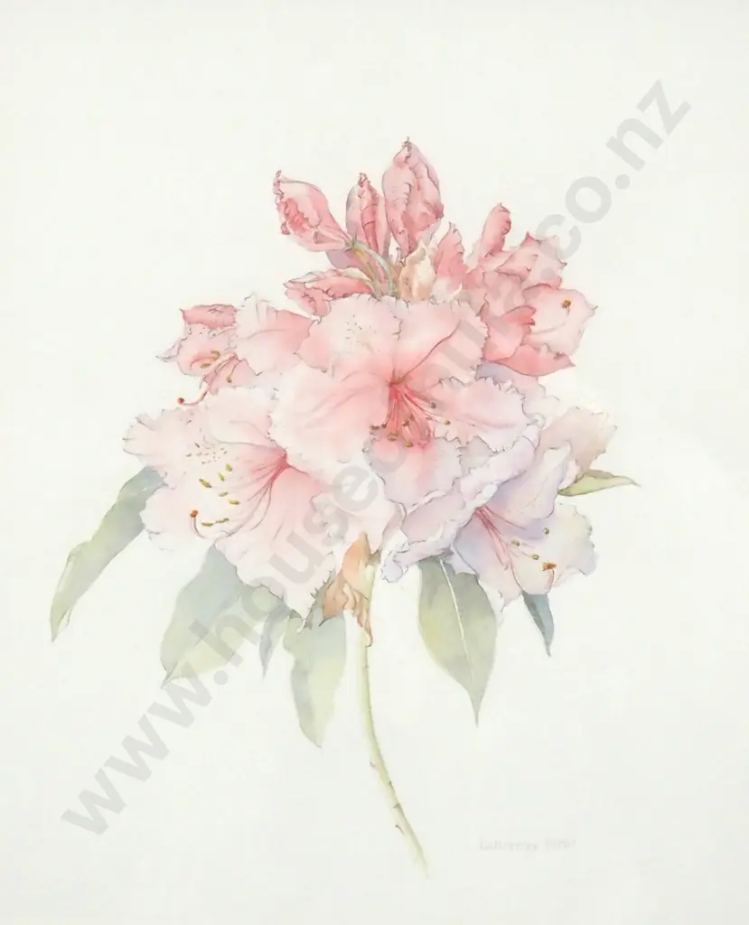 Doris Hartley Tutill.  Still Life - Flowers. Watercolour. Image 1++