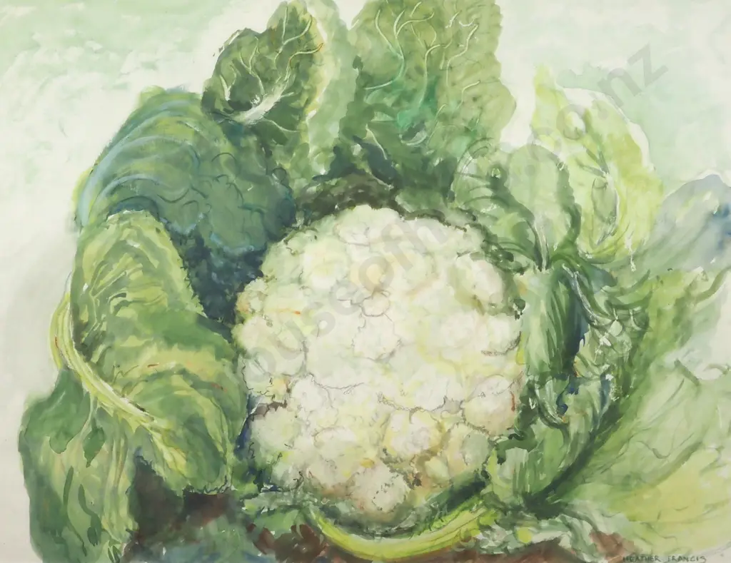 Heather Francis. Still Life - Cauliflower. Watercolour. Image 1++