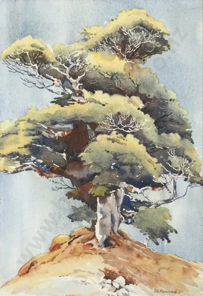 J B Macleod. Landscape w Tree. Watercolour. Image 1++