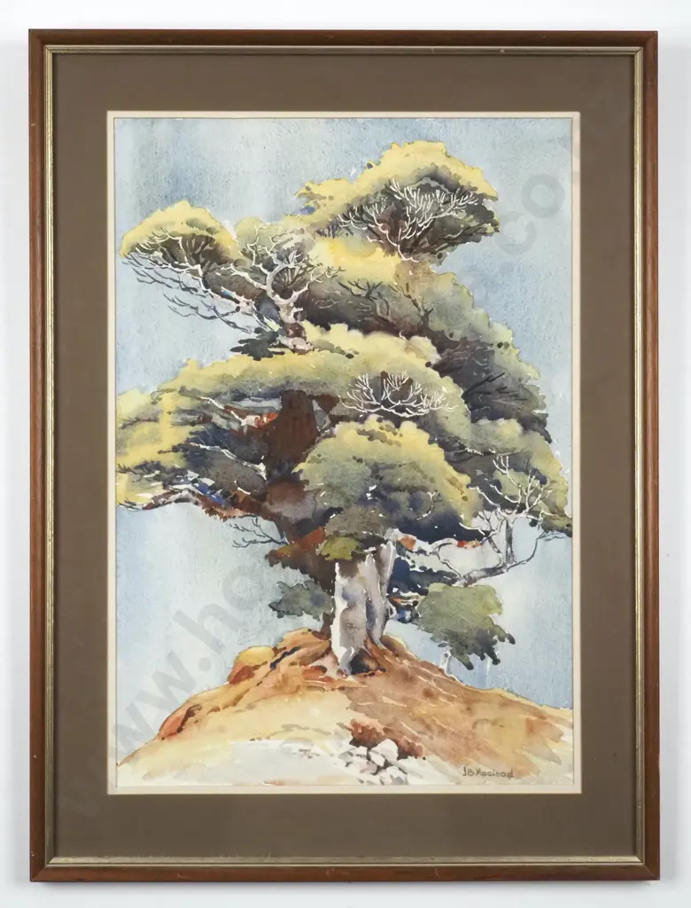 J B Macleod. Landscape w Tree. Watercolour. Image 1++