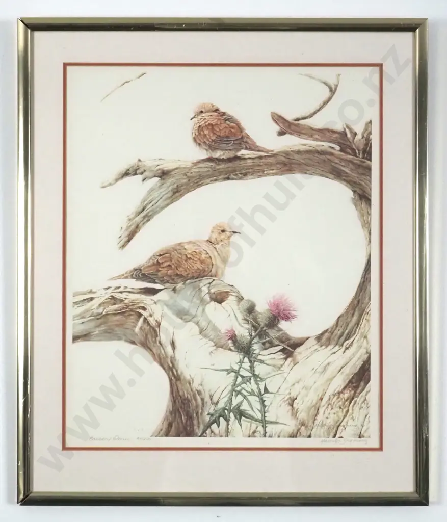 Merrilyn Jacquerie. 1984, Barbary Doves. Limited Edition Print - 97/250. Image 1++