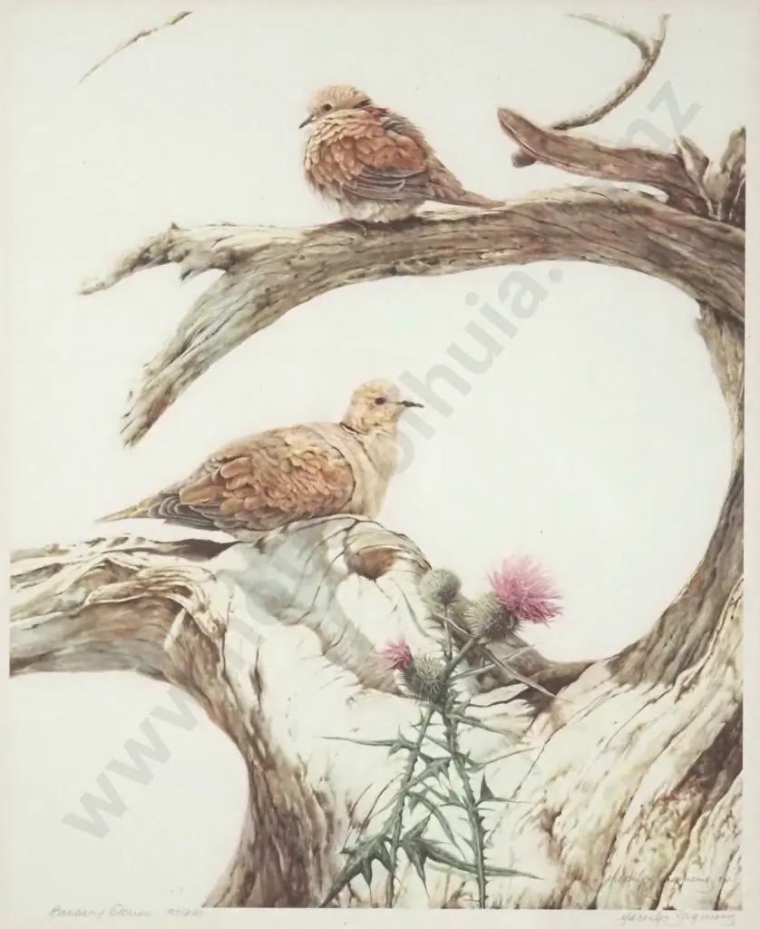 Merrilyn Jacquerie. 1984, Barbary Doves. Limited Edition Print - 97/250. Image 1++
