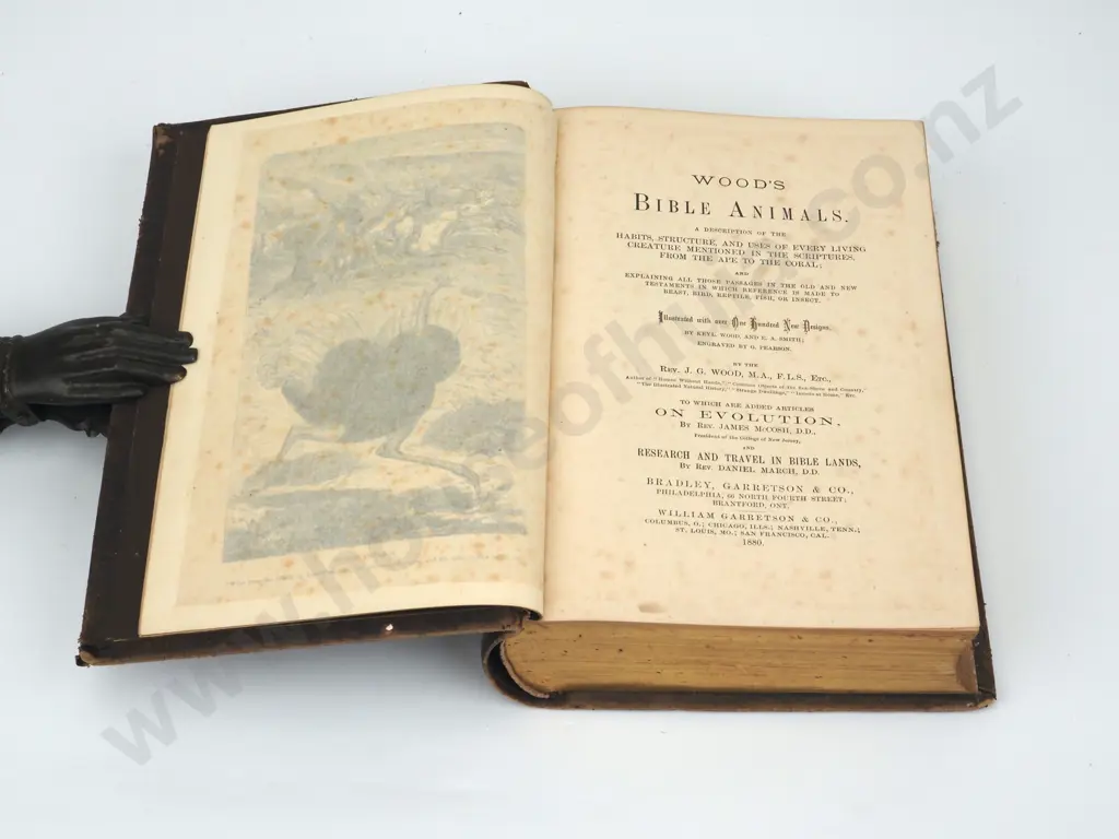 Wood's Bible Animals; Garretson & Co., 1880. Image 1++