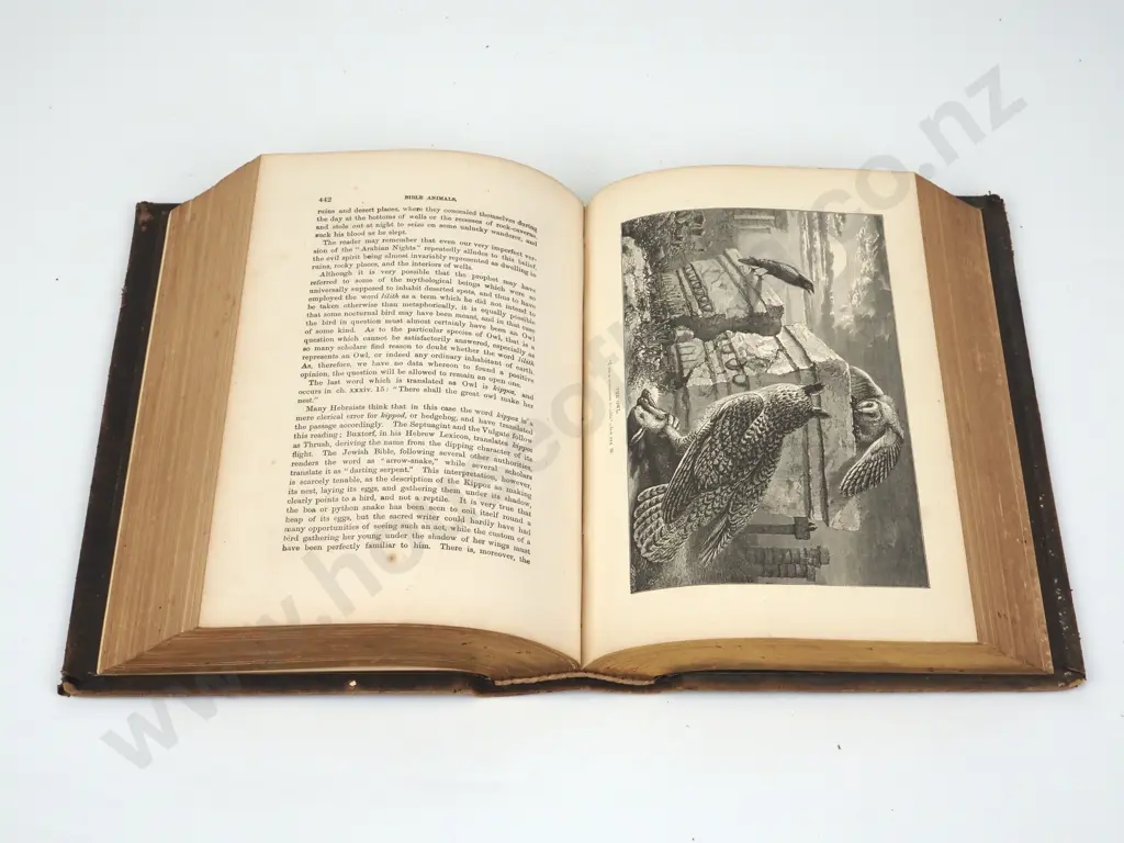 Wood's Bible Animals; Garretson & Co., 1880. Image 1++