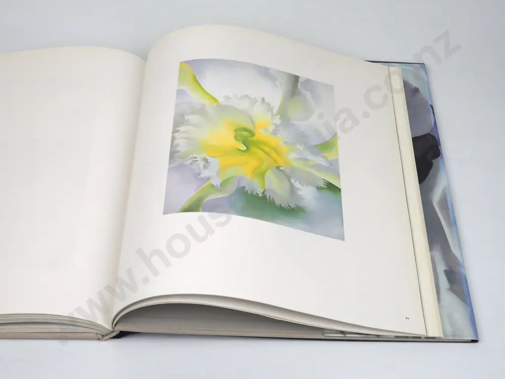 Georgia O'Keefe One Hundred Flowers Image 1++