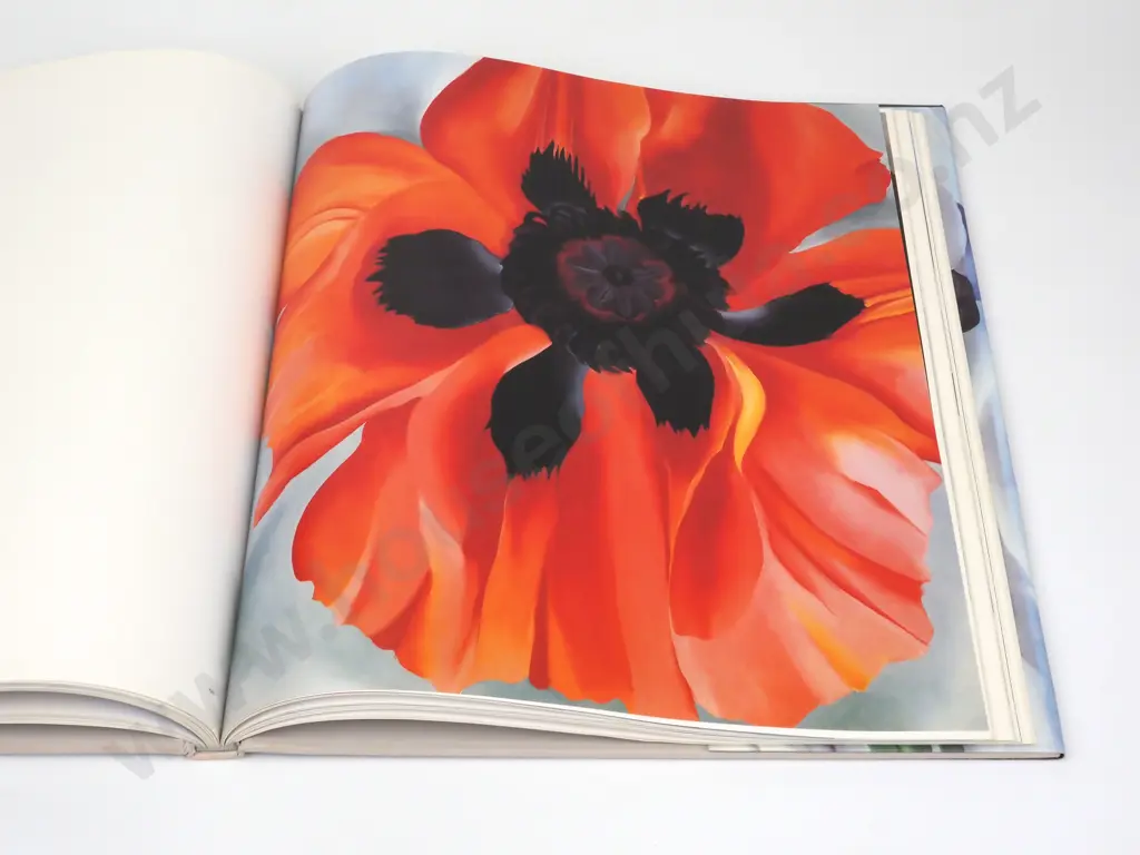 Georgia O'Keefe One Hundred Flowers Image 1++