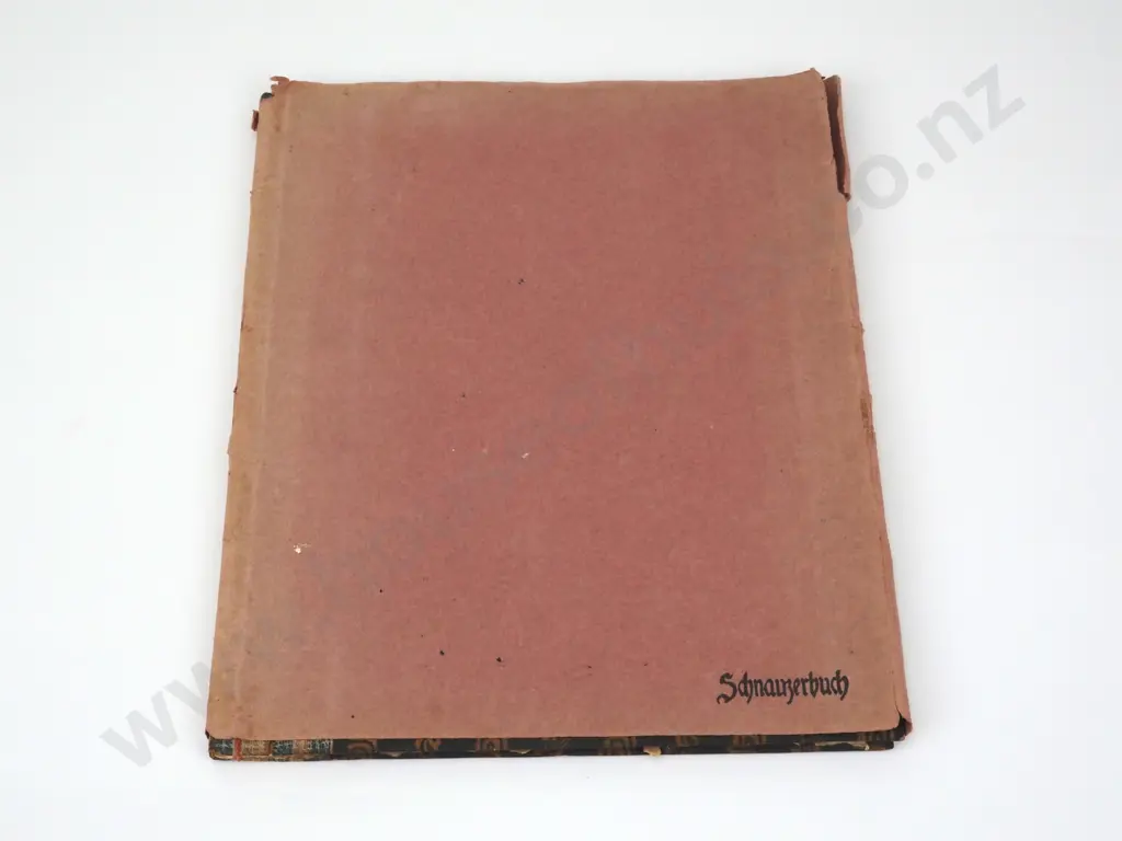 Schnauzer Buch In Holzschnitten Von Fritz Lang. First Edition, Limited to 400. Woodcut Illustrations Of The Schauzer Dog Image 1++
