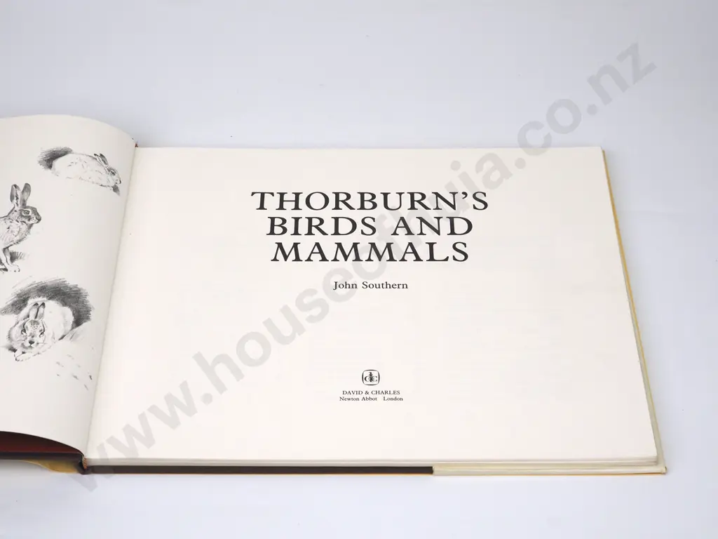 Southern , John - Thorburn's Birds & Flowers;  David Charles Newton Abbott London,1986. Image 1++