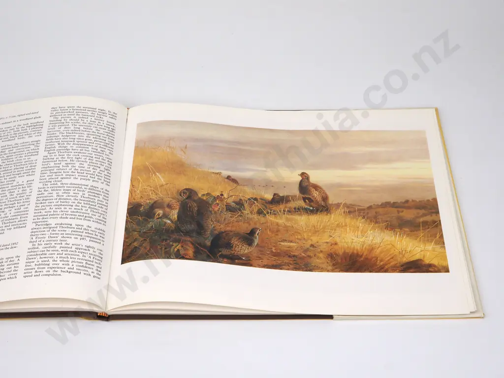 Southern , John - Thorburn's Birds & Flowers;  David Charles Newton Abbott London,1986. Image 1++