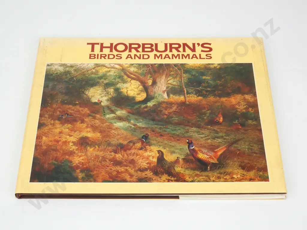 Southern , John - Thorburn's Birds & Flowers;  David Charles Newton Abbott London,1986. Image 1++