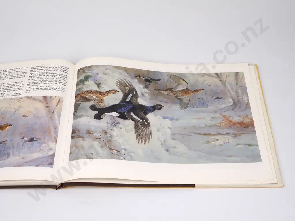 Southern , John - Thorburn's Birds & Flowers;  David Charles Newton Abbott London,1986. Image 1++
