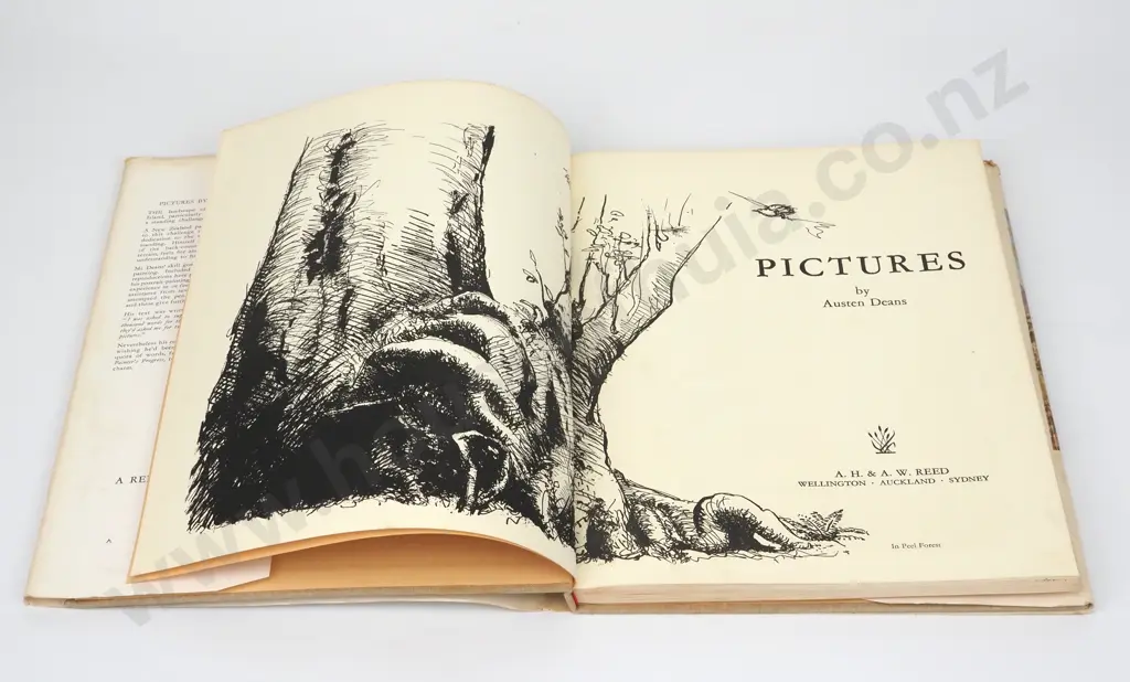 Deans, Austen; Pictures by Austen Deans Image 1++