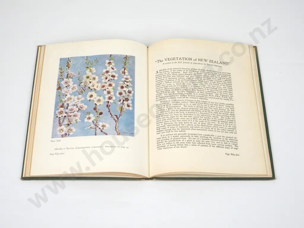 Moore, John L. (Ed); Artist and Botanist - The Life and Work of Esmond Atkinson Image 1++