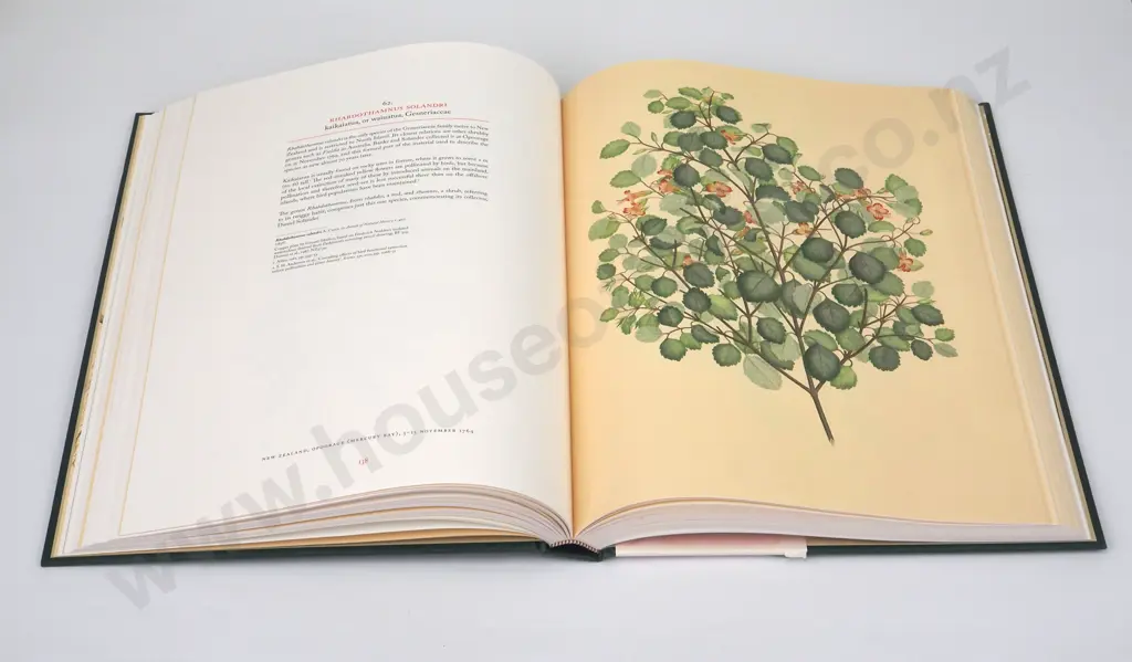 Banks, Joseph; Florilegium Image 1++