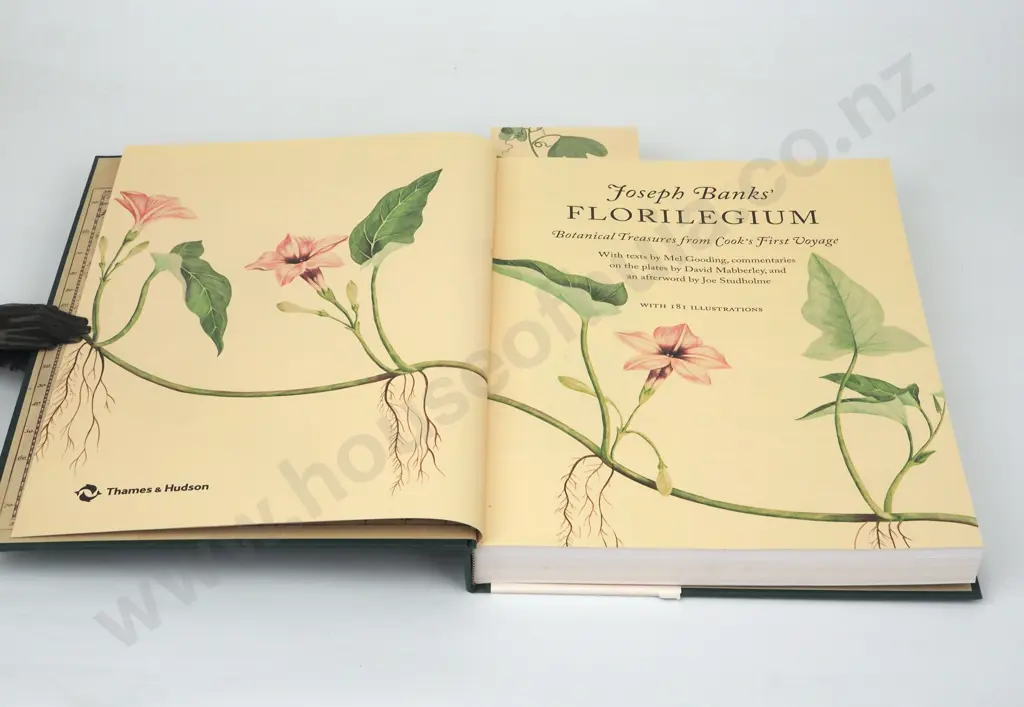 Banks, Joseph; Florilegium Image 1++