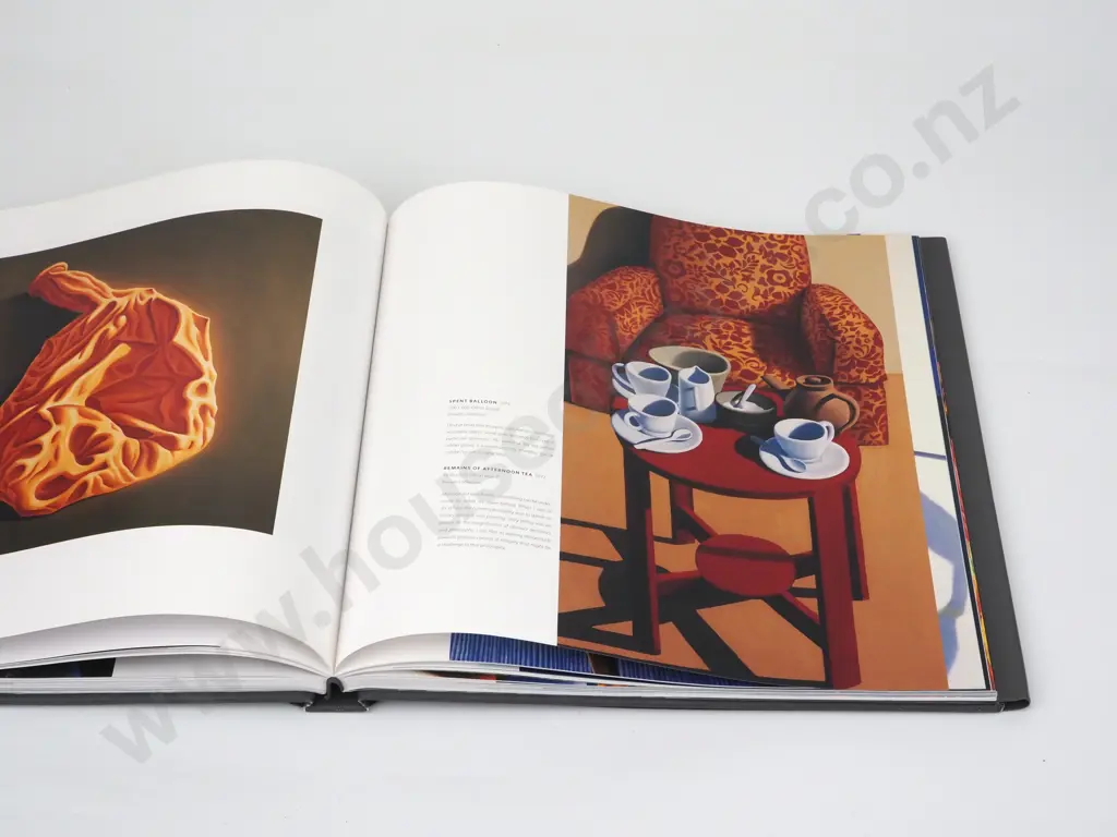Gribben, Trish; Michael Smither - Painter Image 1++